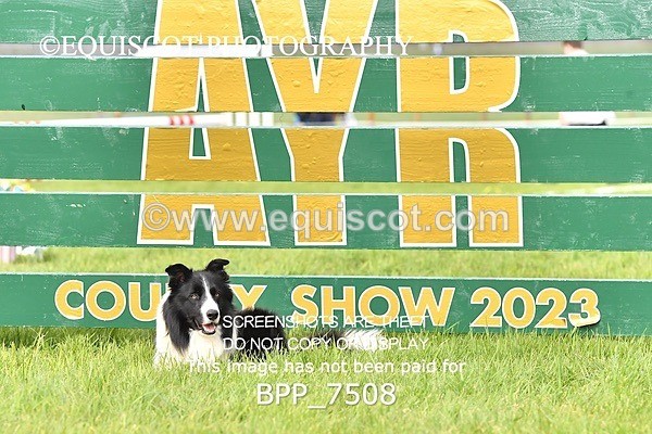BPP_7508 - CLASS 5 Scottish Branch Outdoor Open RHS Young Mas (1.30m)