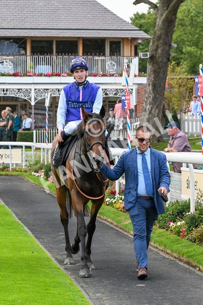 250725-Race 1-Pressures On - Quest For Fun-0244 - Race 1 5.30pm eventmasters.co.uk Handicap
