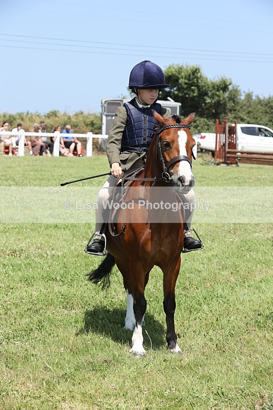 JPP_2385 - Class 20: Tiny Tots Working Hunter Pony