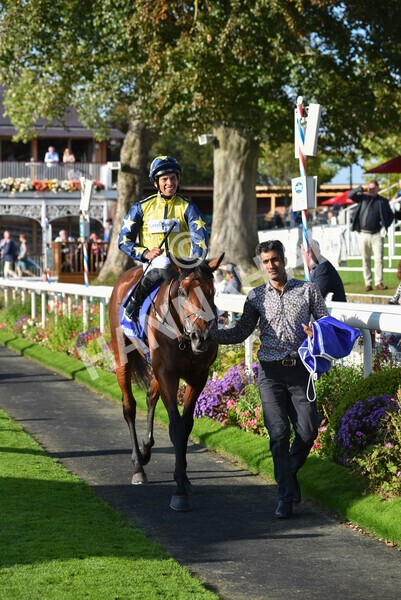 yr08102021r4-40 - Race 4 3.50pm Casumo Dare To be Different Handicap