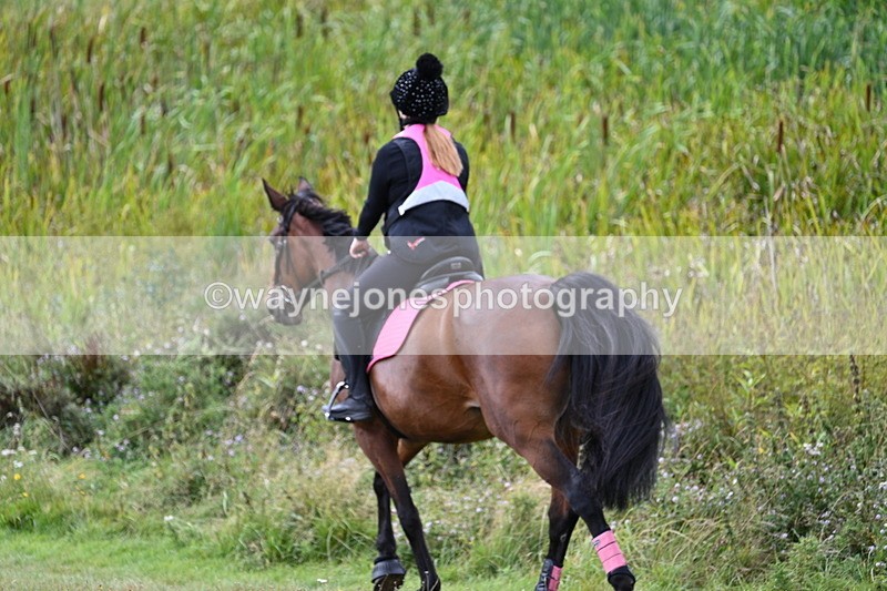 WJ7_6074 - Time 11:50 to 12:09