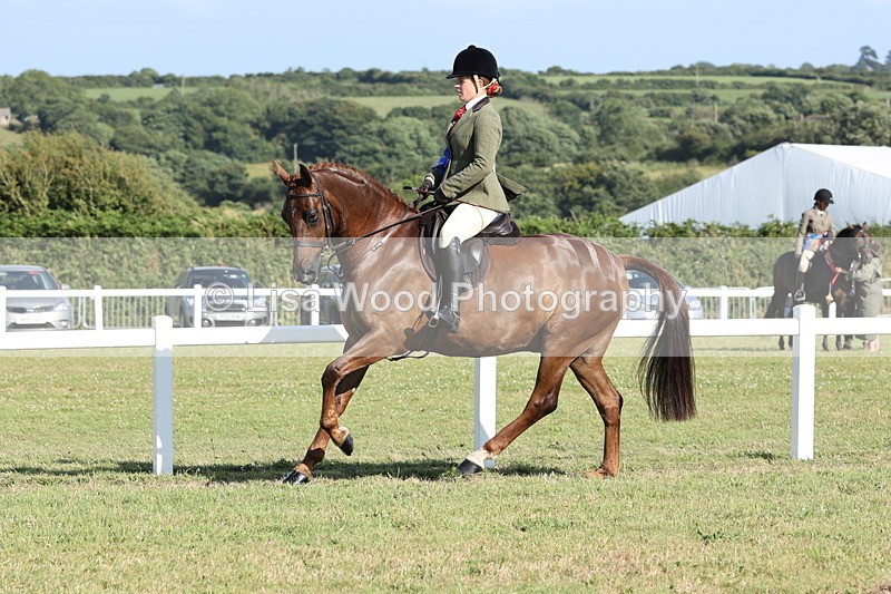 JPP_3063 - Class 20: Working Hunter 70cm