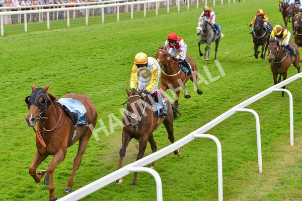 170623-Race 1-Kihavah-6910 - Race 1 2.00pm Queen Mother's Cup Handicap