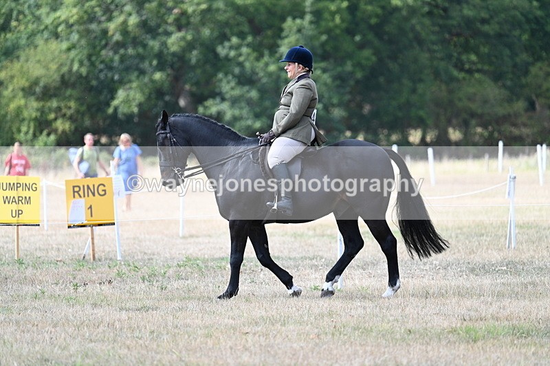 WJ7_5771 - Class 13 Ridden Veterans