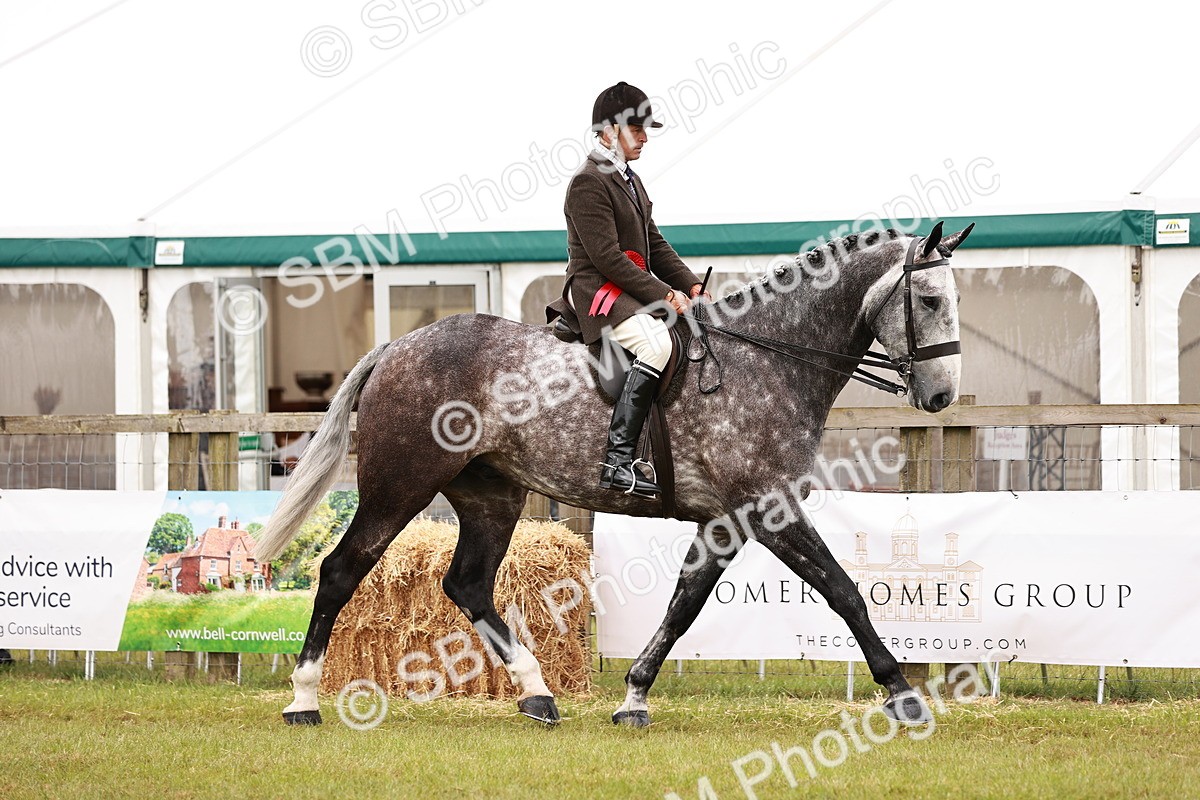 SBM_11548 - Class 81-84 - RIHS Ridden hunters Inc Ladies Hunter
