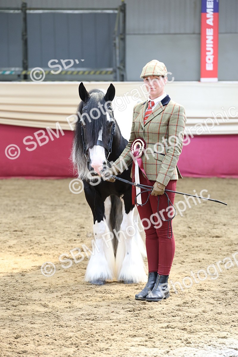 SBM_23416 - Class 903 - Supreme Final - IH Pre Vet