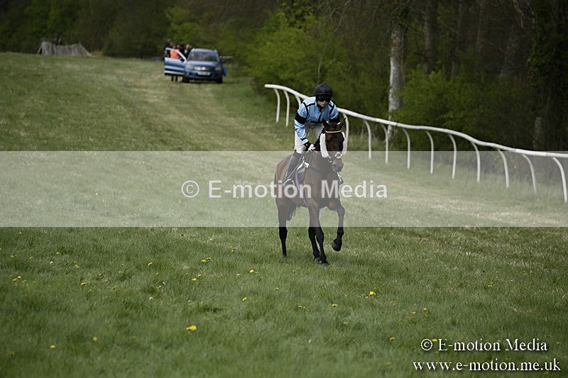 PtP 170417 57 - Old Berks Point-to-Point Lockinge 17/04/17