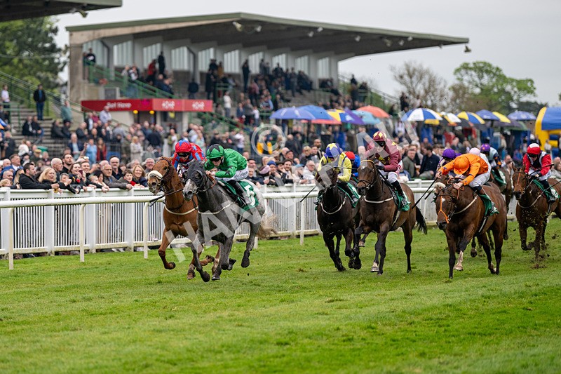 040524-Race 4-Star Of Lady M-4490 - Race 4