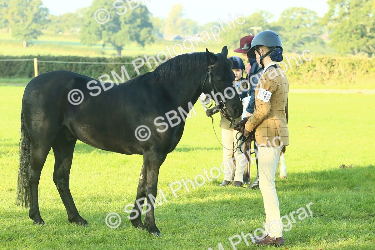SBM_57437 - S37 - Starters In Hand Showing