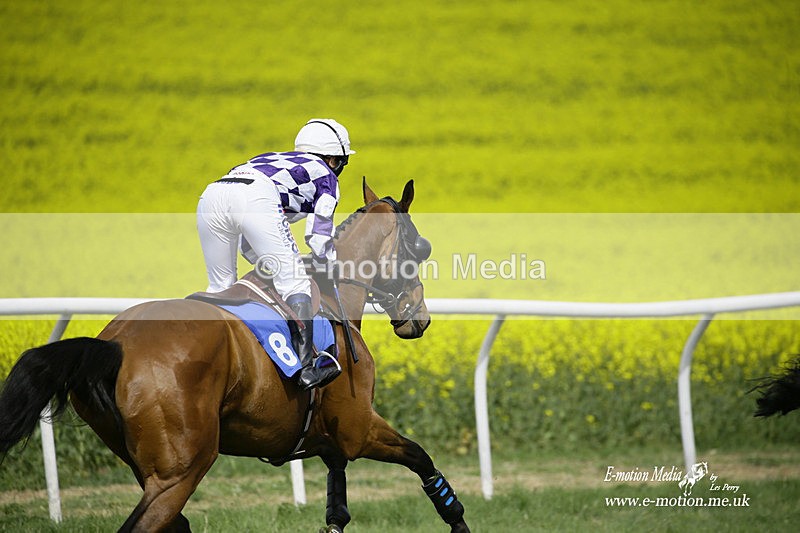PtP 180422 91 - Old Berkshire PtP Lockinge 18/04/22