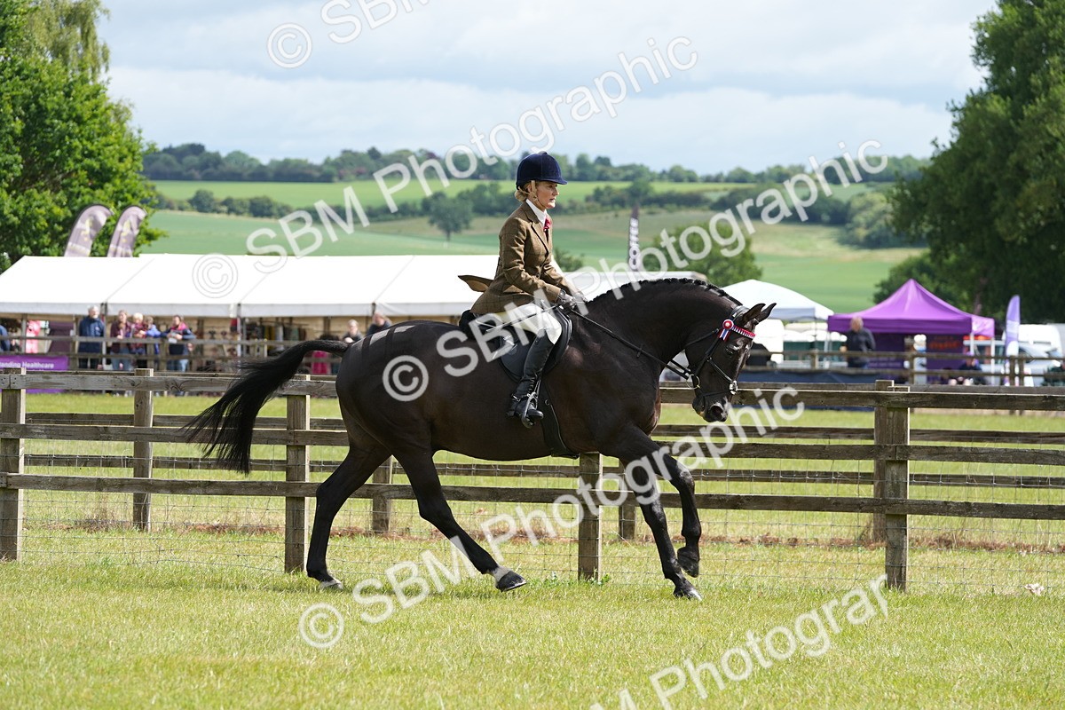 SBM_12921 - Class 99 - RIHS SEIB Working Show Horse