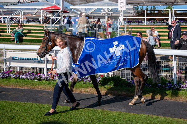 160525-Race 7-Delicacy-6692 - Race 7 5.30pm Yorkshire Equine Practice Handicap