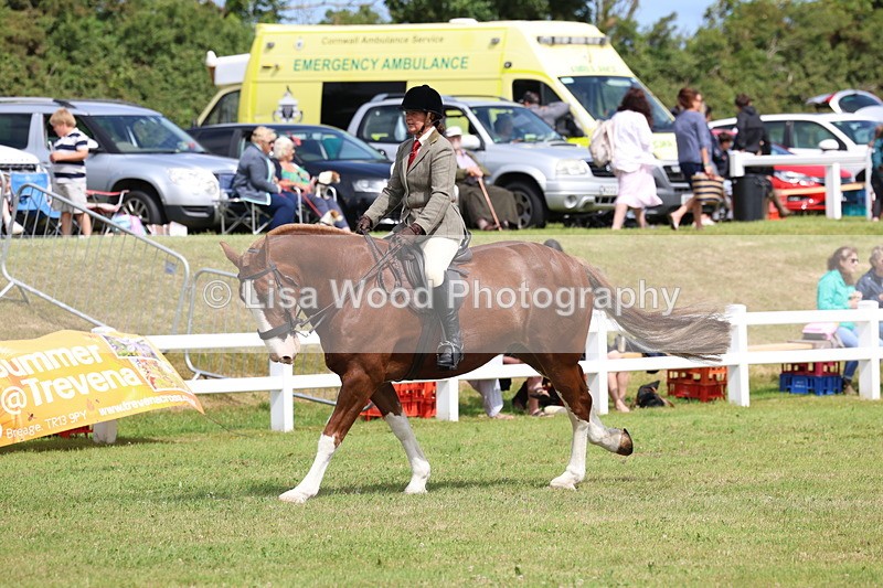 3E7A0189 - Class 6: Rising Star Maxi Cobs