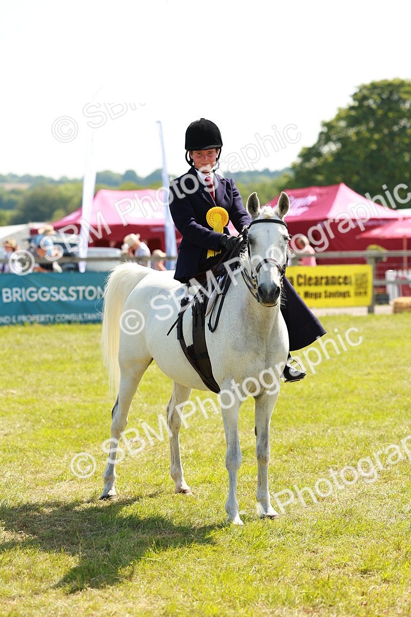 SBM_13410 - Class 70-71 - Side Saddle