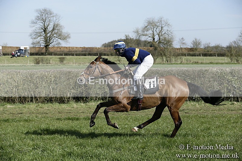 PtP 250317 113 - V.W.H. Hunt Point-to-Point Siddington 25/03/17