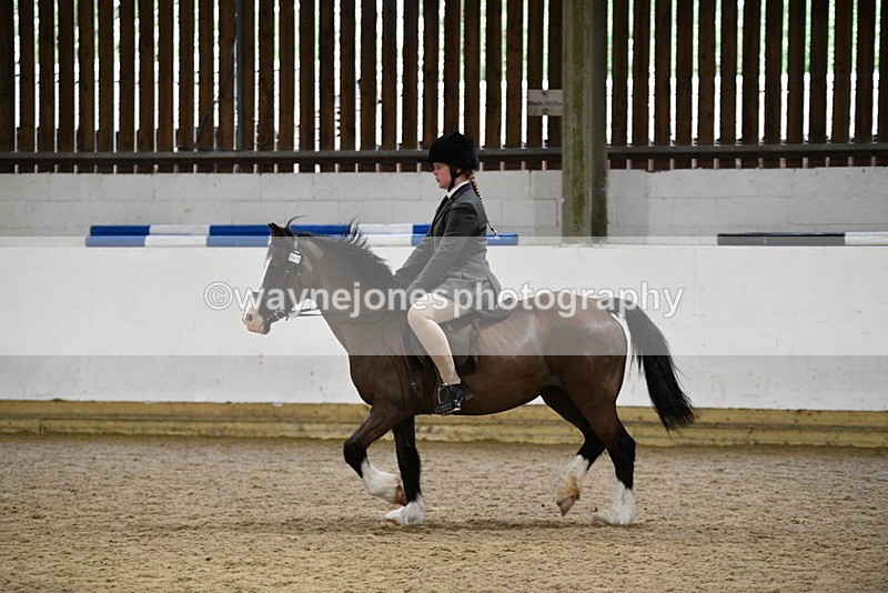 WJ5_8433 - Class 14 Novice Ridden/Rider
