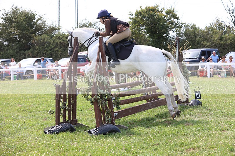 JPP_3611 - Class 23: Working Hunter 80cm