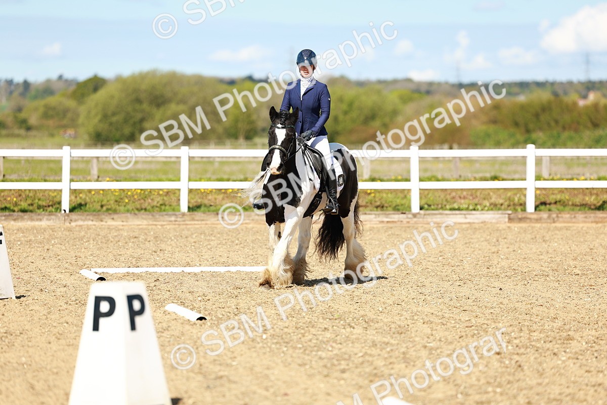 SBM_000290