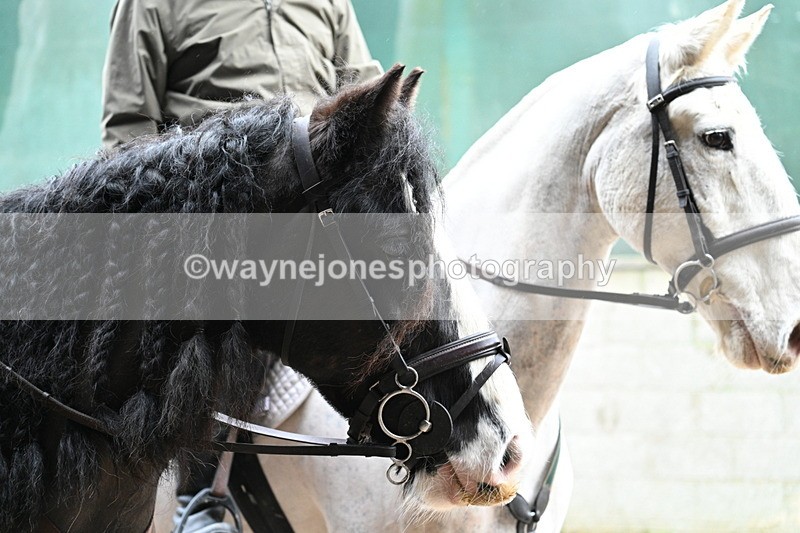 WJ7_8760 - Berks & Bucks - Rowles Farm 15-02-26