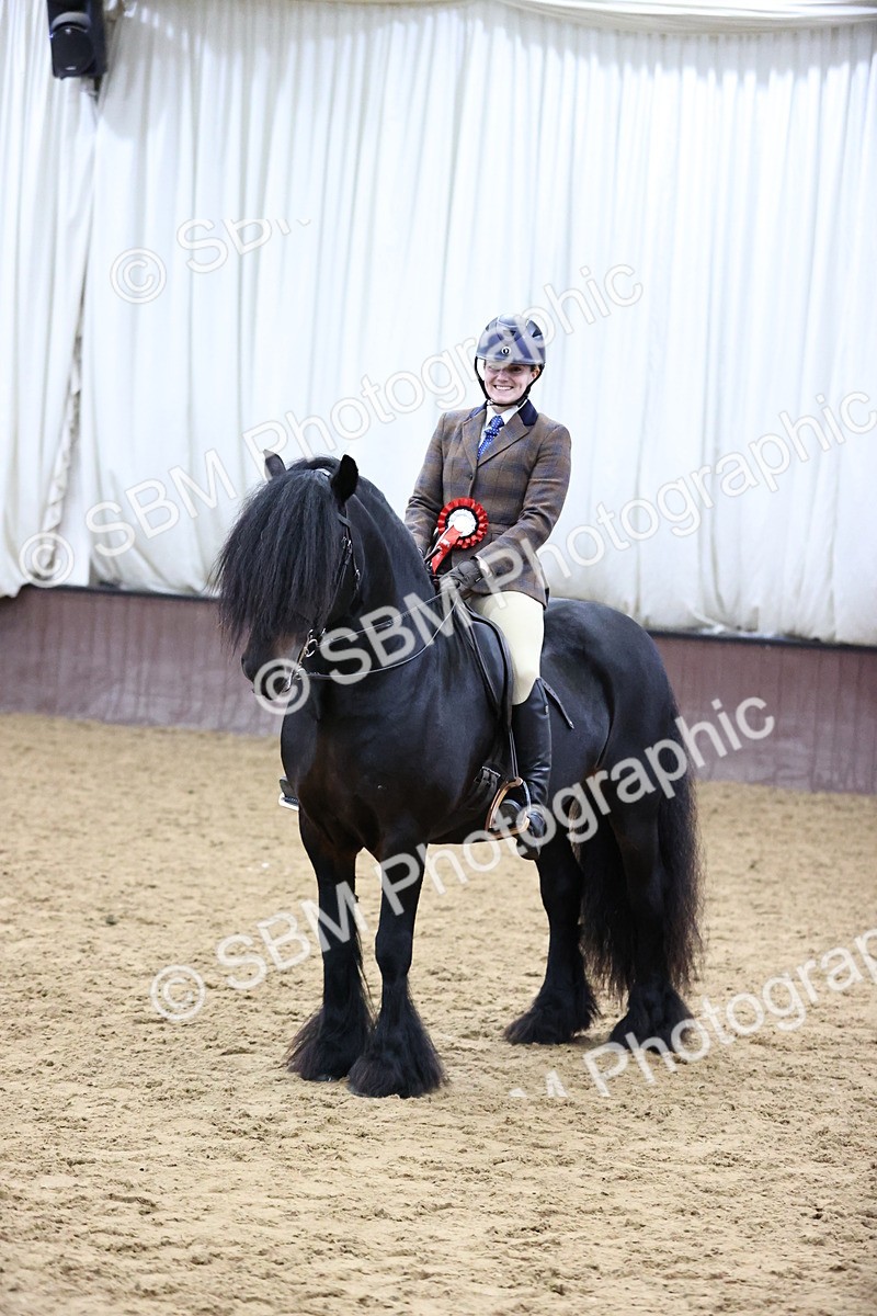SBM_6556 - Class 43 - Ridden Native Breeds