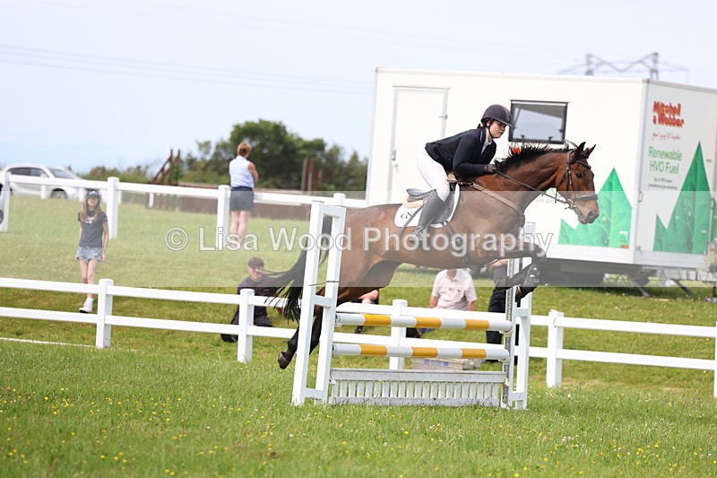 3E7A1607 - Class 13: Senior British Novice/90cm open