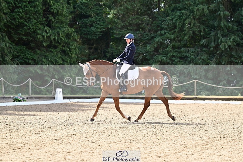 260802A-103511-05527 - Novice Silver break - break