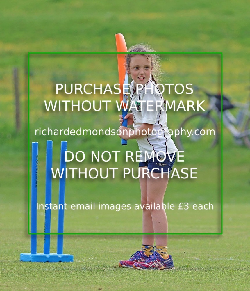 IMG_1565 - Select Cricket Images (May)