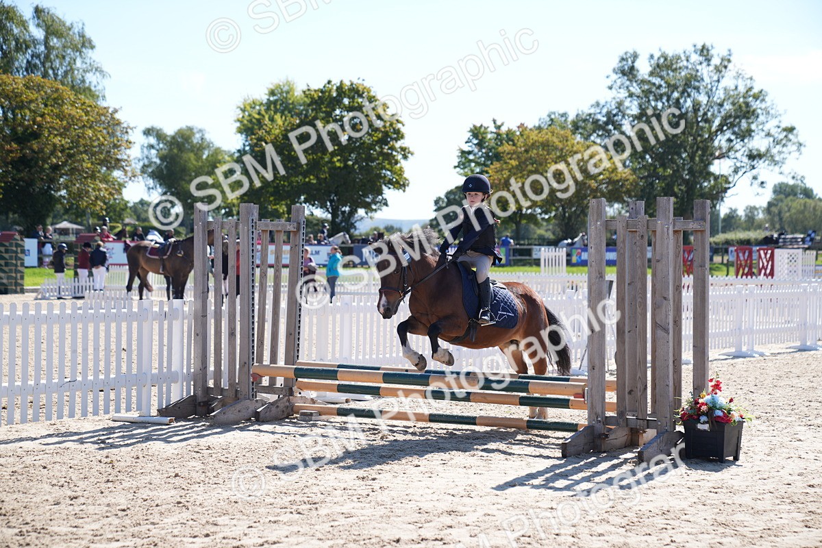 SBM_19565 - J57 - Clear Round 50cm