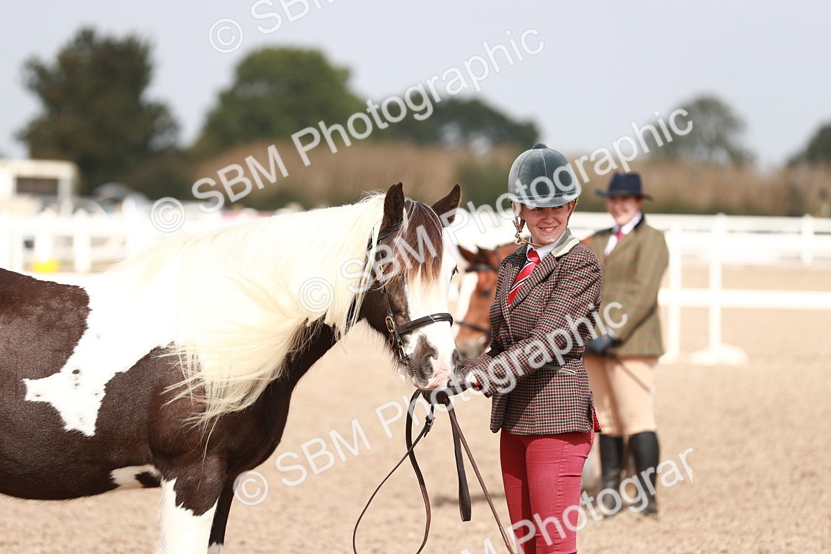 SBM_13899 - Class 209 IH Veteran Pony