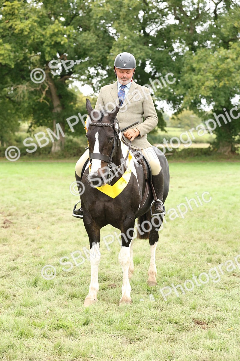 SBM_67312 - S67 - Piebald & Skewbald Horse Ridden