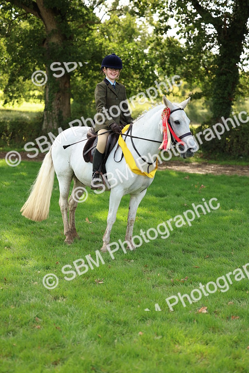 SBM_46436 - Working Hunter Pony Supreme Championship