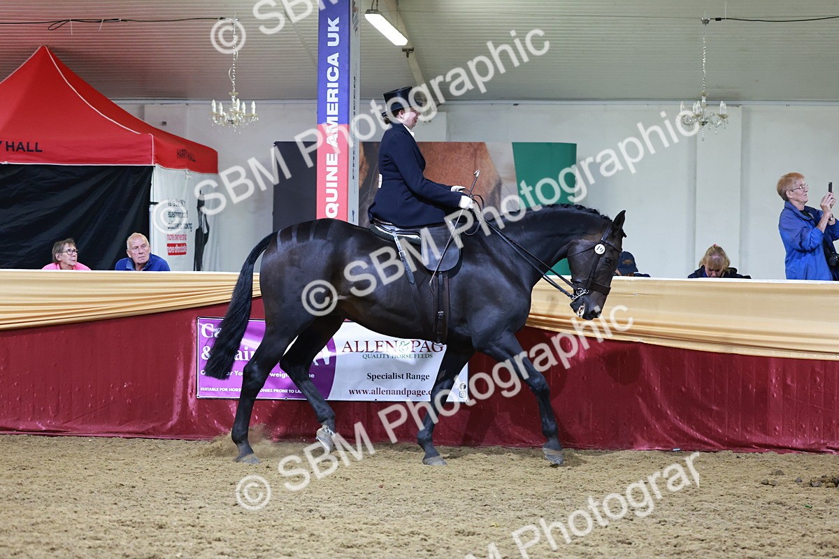 SBM_20953 - Class N - Side Saddle Champ