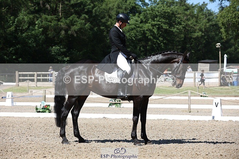 230526-104318-05310 - 363-RLE_KHALEESI_C-Christopher_Wincer-WEDTrotUp+DR