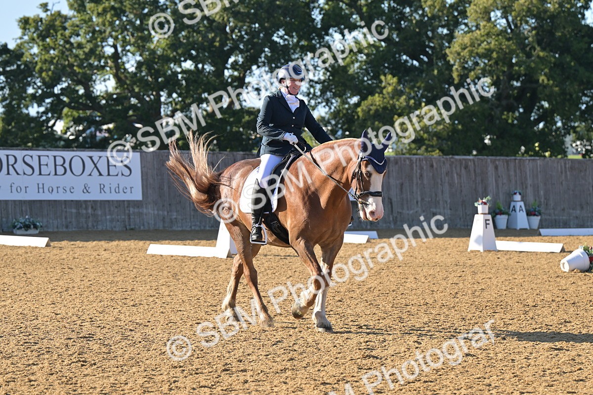 SBM_13007 - D3 - Small Tour Championship Intro 3
