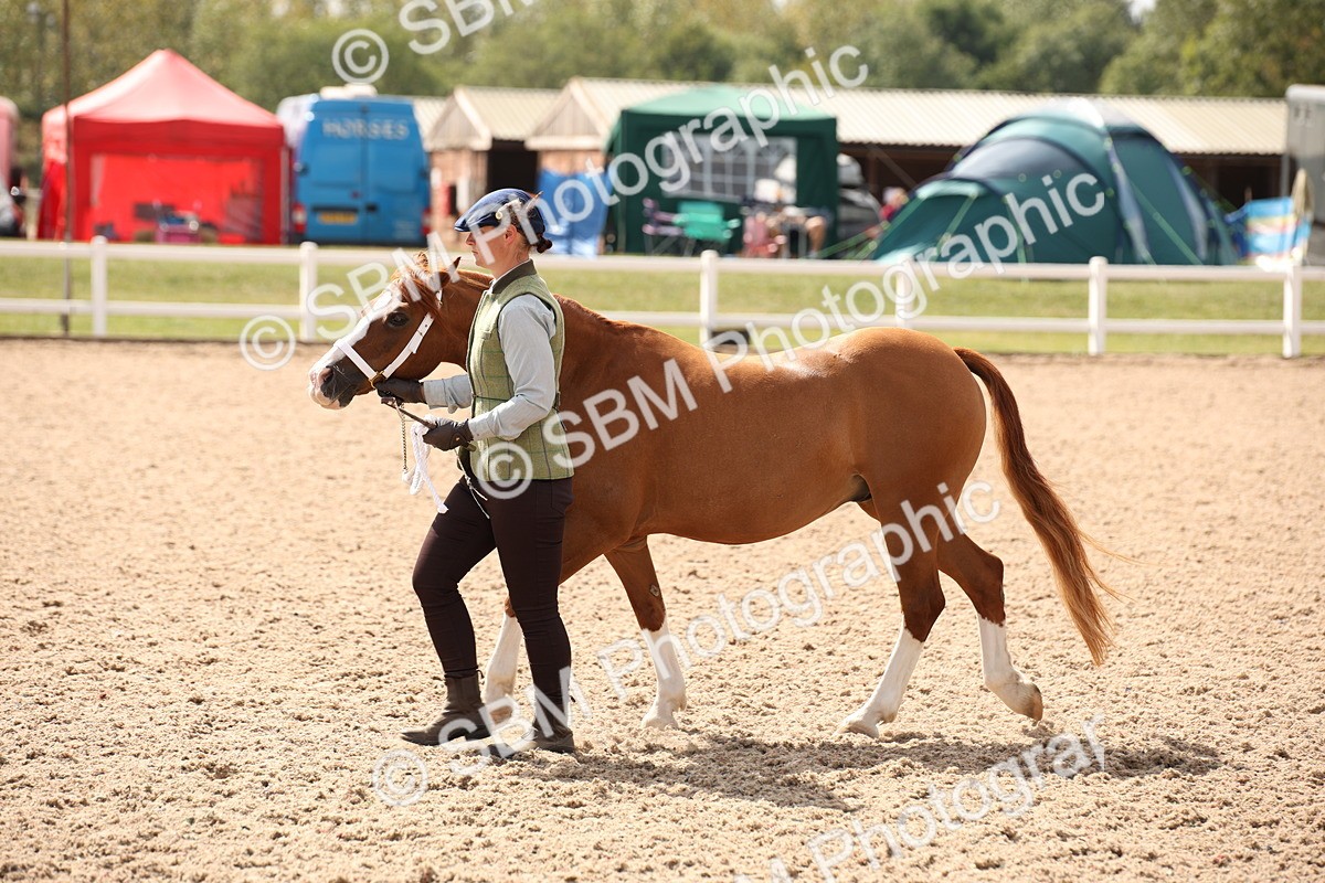 SBM_04601 - Class 20 IH Veteran