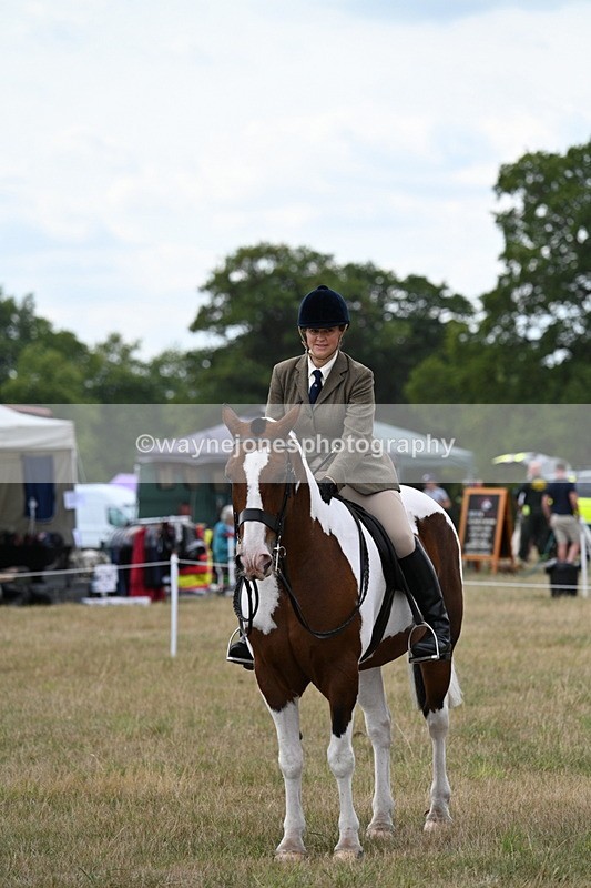 WJ7_5242 - Class 12 Ridden Cob