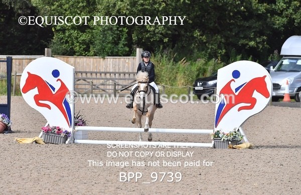 BPP_9739 - CLASS 2 Derby Show Jumping 30CM