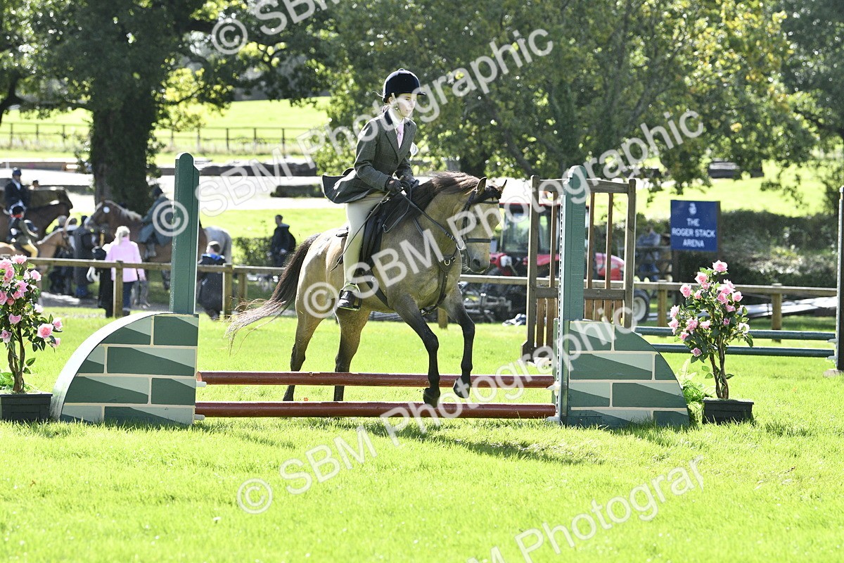 SBM_38240 - S31 - Novice & Newcomer Working Hunter Pony