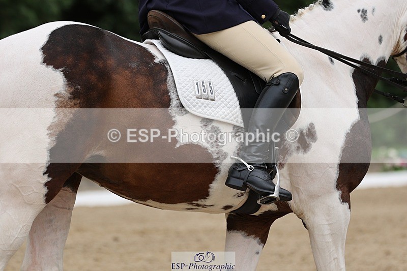 240810-161303-04175 - 155-Debbie.Squires-Mystic.Spirit