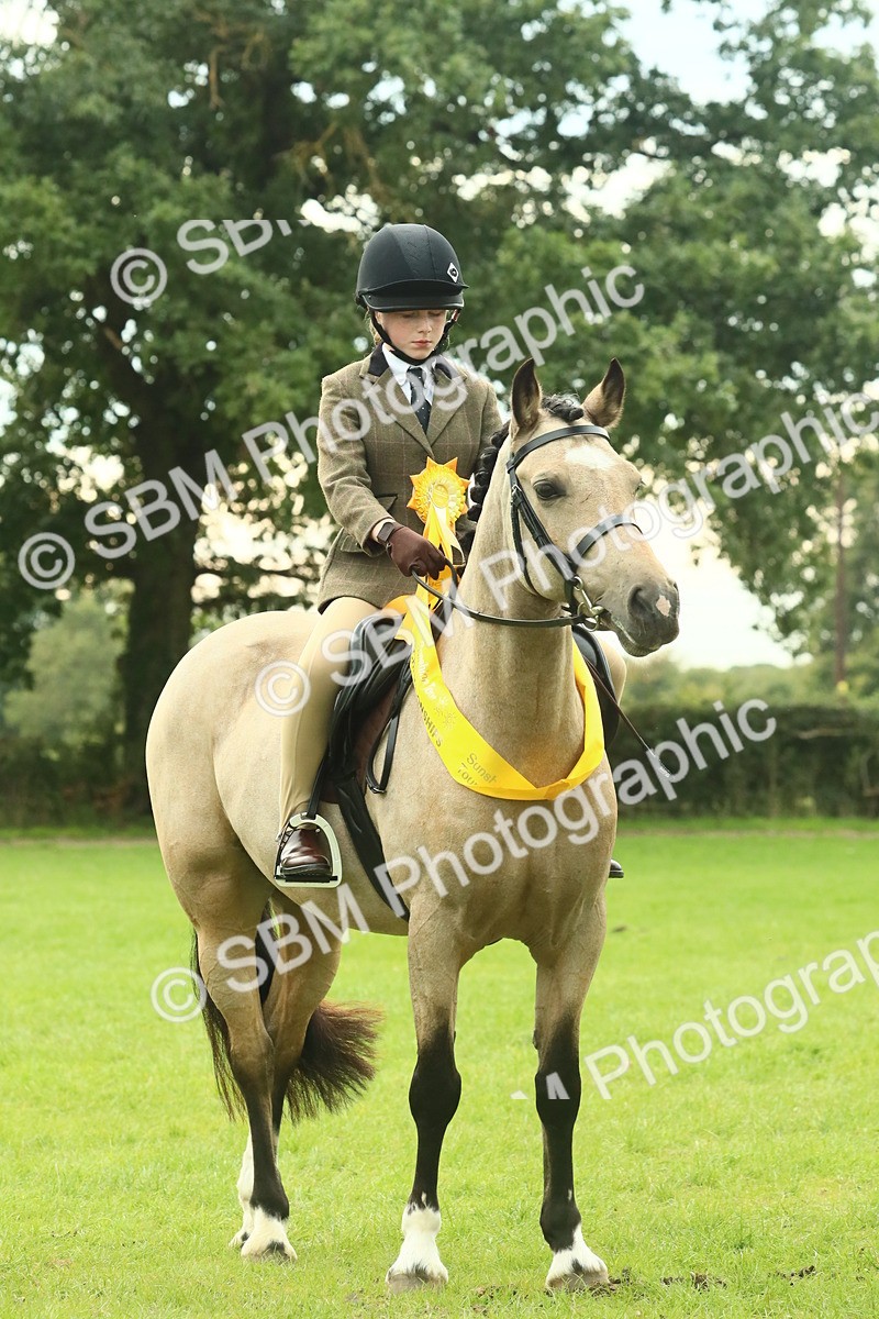 SBM_75050 - Ridden Pony Supreme Championship