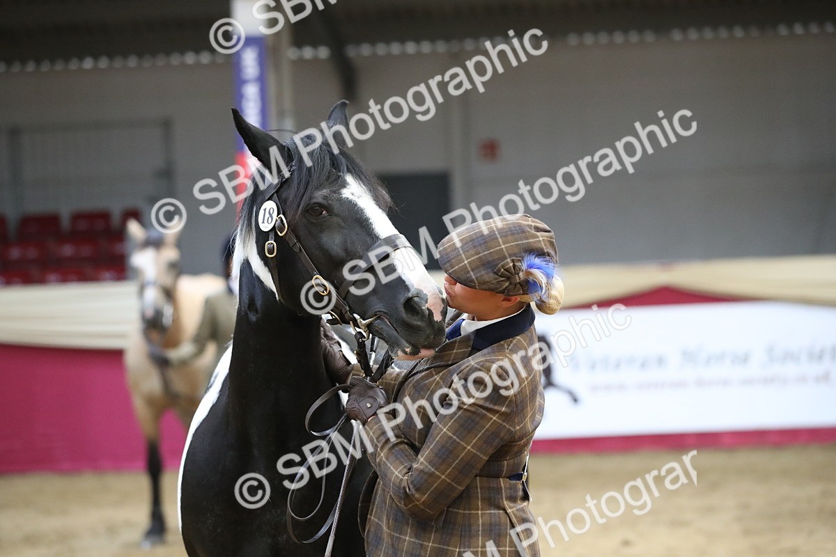 SBM_06449 - Class 9R Regional- IH Pre Vet
