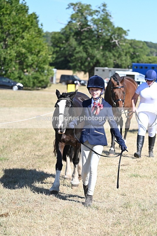 WJ7_1831 - Class 43 Best Six Legs (In hand)