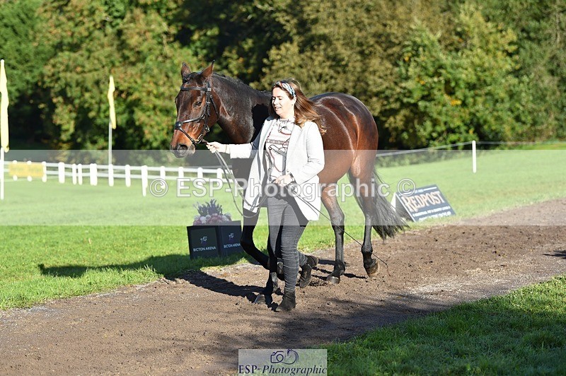 231022-101130-22294 - 503-JAGUAR.MAID-Isobel.Lole-TrotUp+SJ