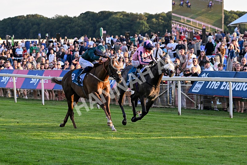 240726-Race 6-Explosive Finnish-5597 - Race 6 20.25pm Sky Bet Go-Racing-In-Yorkshire Summer Festival Handicap