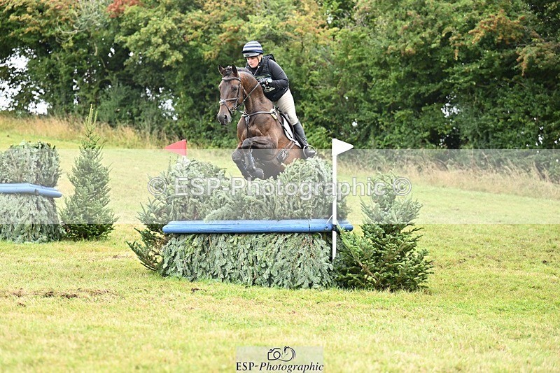 TS_b2881792 - SAT BE 90 Recovered Files fence 8