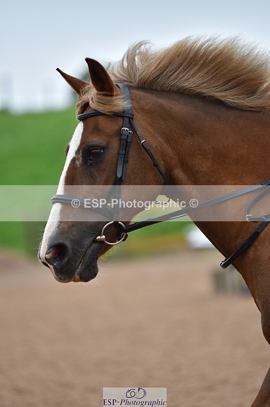 230808A-161742-00161 - 70cm