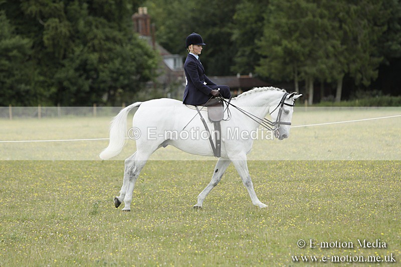 BVR160717-2364 - Side Saddle Classes 16/07/17