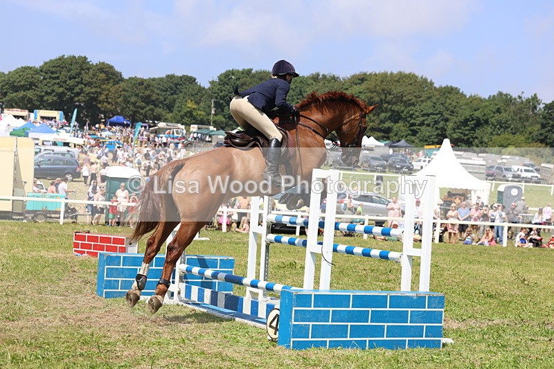 3E7A3355 - Class 10: Senior Foxhunter/1.20 open