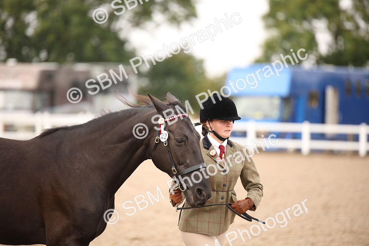 SBM_21498 - Class 706 - IH  Veteran