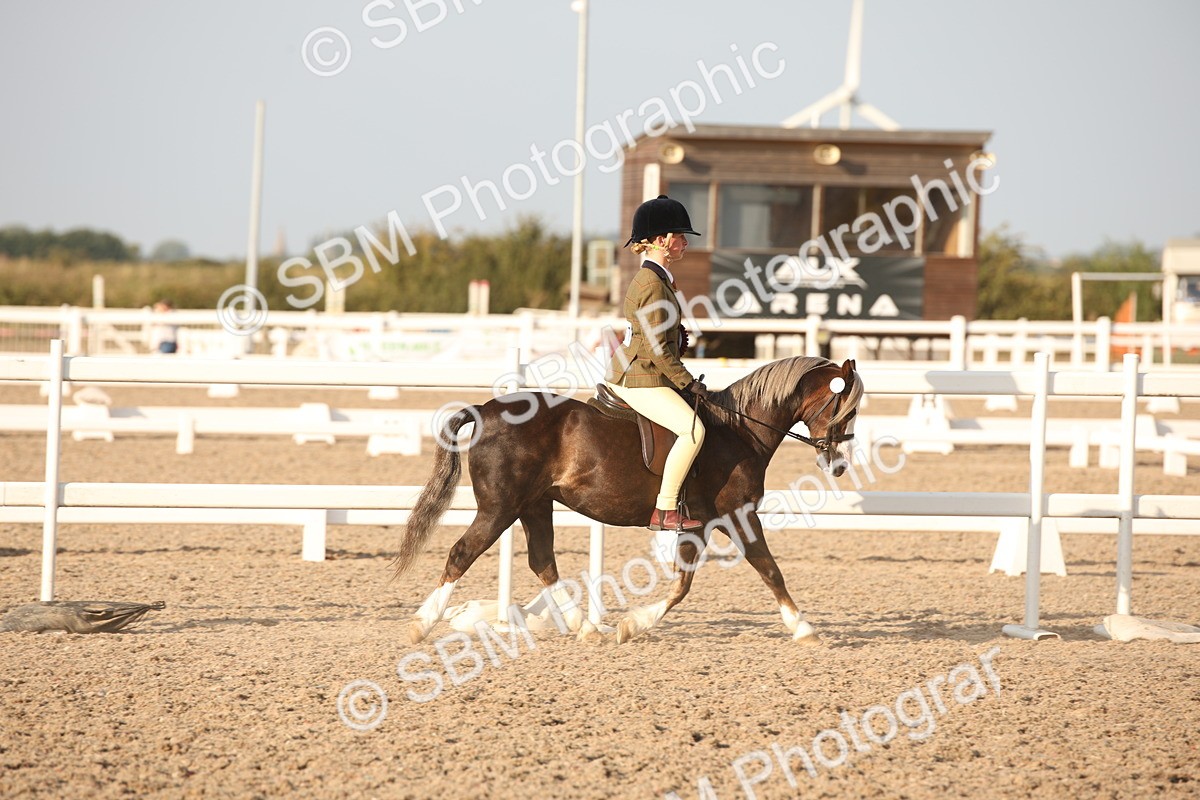 SBM_09226 - Regional Ridden Champ
